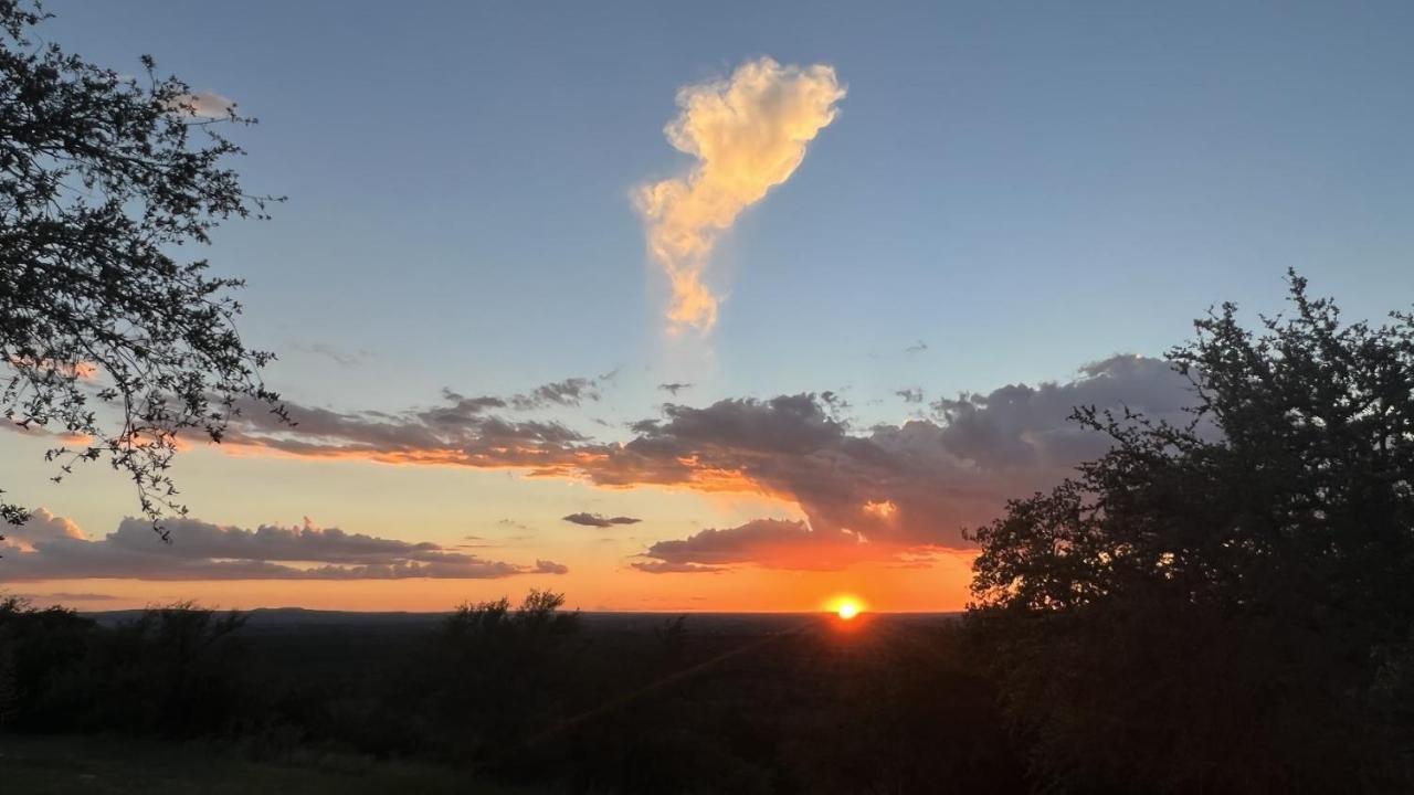 Hill Country Highland'S Bluebonnet Cottage มาเบิล ฟอลส์ ภายนอก รูปภาพ